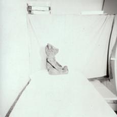 Ours, profil, tirage, sténopé, 1999.